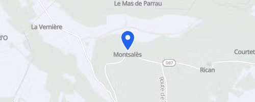 Course Nature Nocturne De Montsalès - Montsales