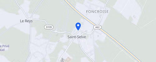 Foulées saint-selvaises - Saint-Selve