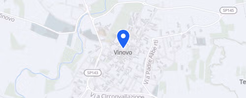 IX^ Hipporun 10 Km di Vinovo
