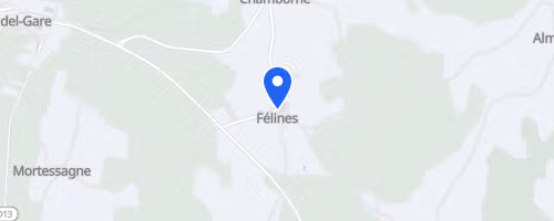 Course Nature Et Trail - Felines