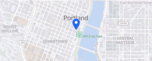 Portland Bridge Swim