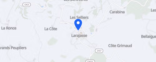 Les foulées de noël - Larajasse