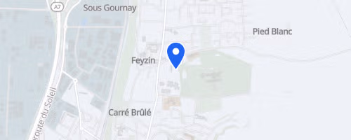 Les foulées de vince - Feyzin