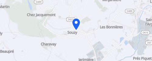 Les Foulées Maniennes