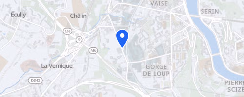 Aquathlon Du Lyon
