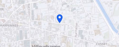 Cross de la feyssine - Villeurbanne
