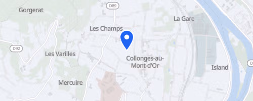 Run Ecully - 10 km 2026