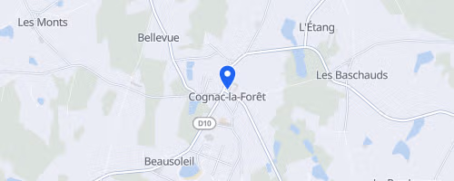 Team Trail Relais - Cognac La Foret