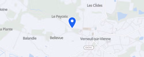 Corrida du marché festif de Verneuil - Verneuil-sur-Vienne