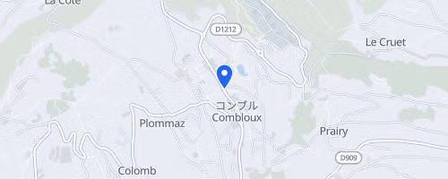 Handisport Coupe de France Ski alpin & Open - Combloux