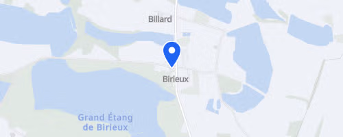 Duo en Dombes - Birieux