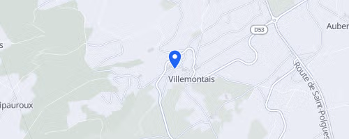 Treille en côte roannaise - Villemontais