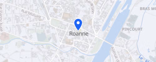 1/2 Finale Zone Sud-Est de Duathlon - Roanne