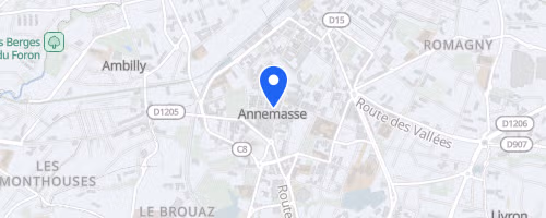 Foulées annemassiennes - Annemasse