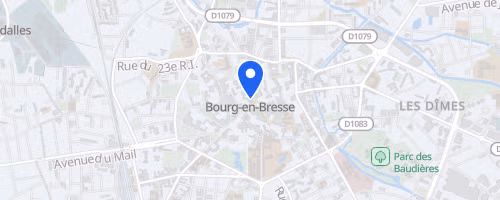 Ekiden De Bourg En Bresse