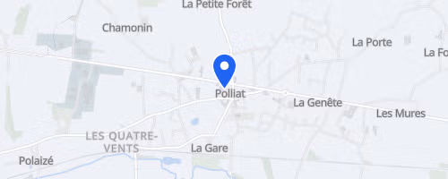 Foulée de la Veyle - Polliat