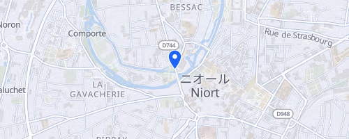 Les 5 et 10 km du Port Boinot - Niort