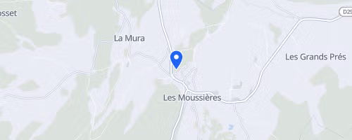 Foulée des combes - Les Moussières