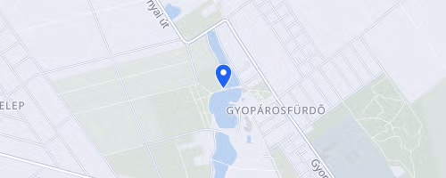 X. Linamar Jótékonysági Futóverseny HIBRID a Viharsarki Koraszülöttmentő Alapítványért