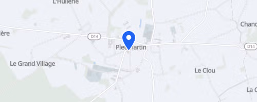 Les foulées pleumartinoises