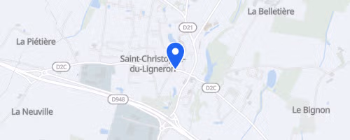 La Virée des Puces
