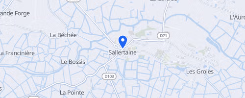 La Course Des Deux Clochers - Sallertaine