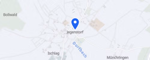 6. Backyard Ultra The Last Lap - Jegenstorf