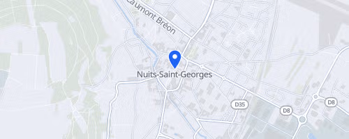 Semi Marathon Vente Des Vins Des Hospices De Nuits St Georges - Nuits Saint Georges