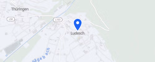 Ludescher Auwaldlauf