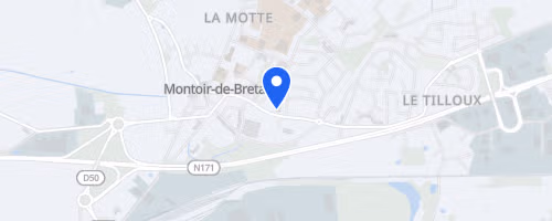Les foulées du Beluga - Montoir-de-Bretagne