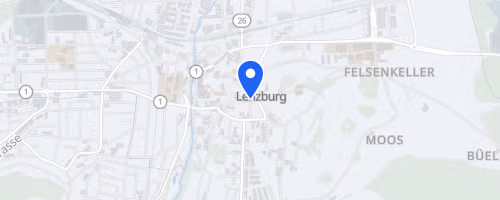 Lenzburger Lauf