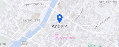 Swim In Maine Angers - 2.5 km 2026