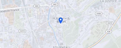 Semi-Marathon du Lion