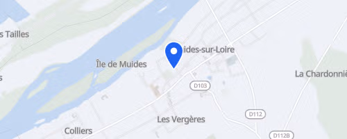 Les foulées de Muides - Muides-sur-Loire