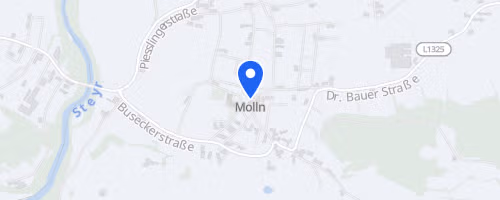 Mollner Marktfestlauf