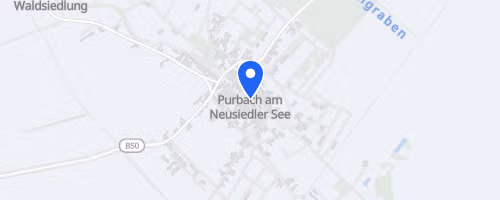 LadiesTri Neuer Strand