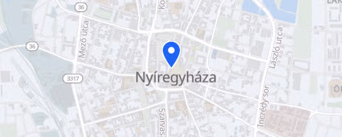 V. Nyíregyházi Futófesztivál