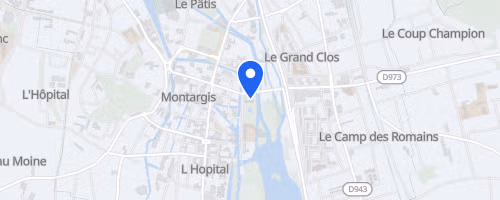 Semi-marathon de Montargis