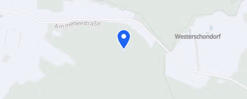32. FT Jahn Nikolauslauf