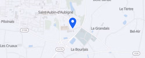 La Ronde Du Phacochere - Saint-aubin-d'aubigne