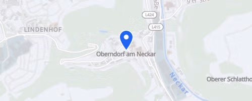Oberndorfer Lauftag / Neckartal Halbmarathon