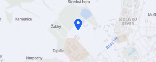 Angličák Night Run Pezinok