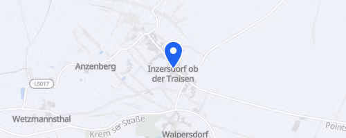 WWW-Lauf Inzersdorf