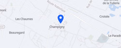 Trail de la roche marquée - Champigny