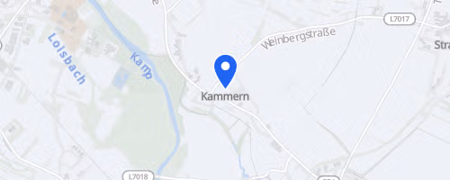 Seizer Herbstlauf