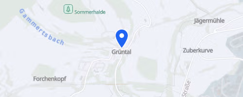 4. Novemberlauf