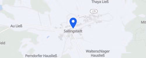 Martinilauf Sallingstadt