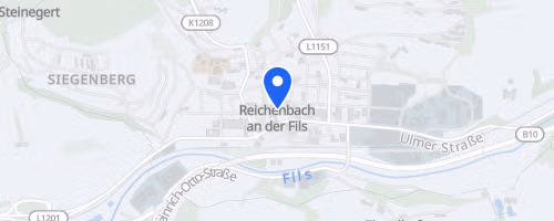 Reichenbacher Citylauf