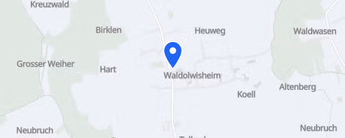 Course de Waldo