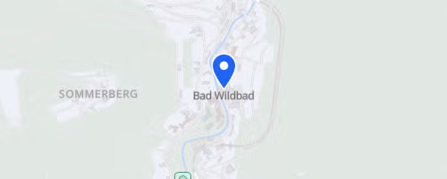 18. Bad Wildbader Stäffeleslauf